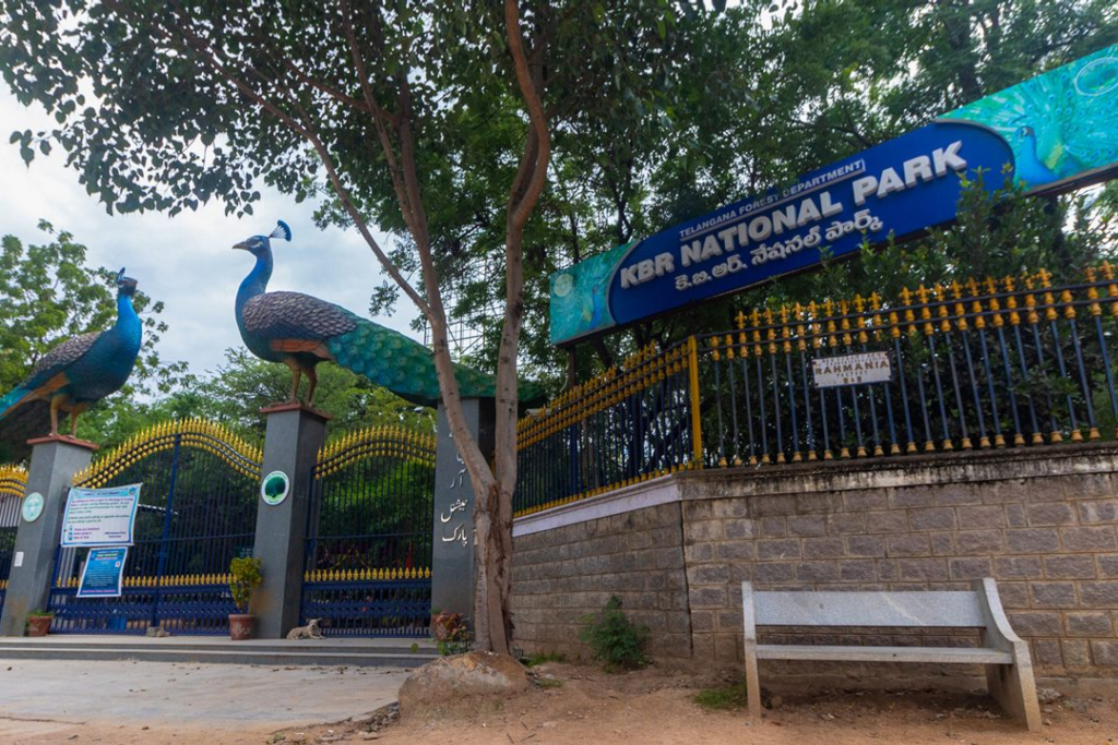 Featured image: Why Best custom web design services in Hyderabad still matters near Kasu Brahmananda Reddy National | Moosi Web