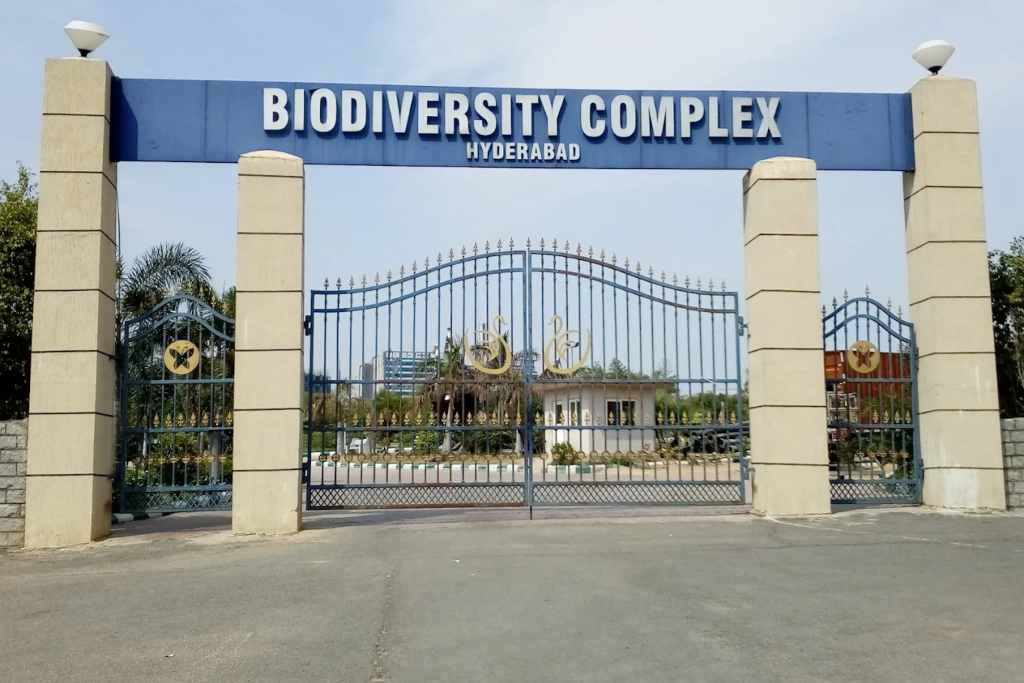 Web designing company in Hyderabad near Hyderabad Biodiversity Park, Gachibowli — Moosi Web Hyderabad