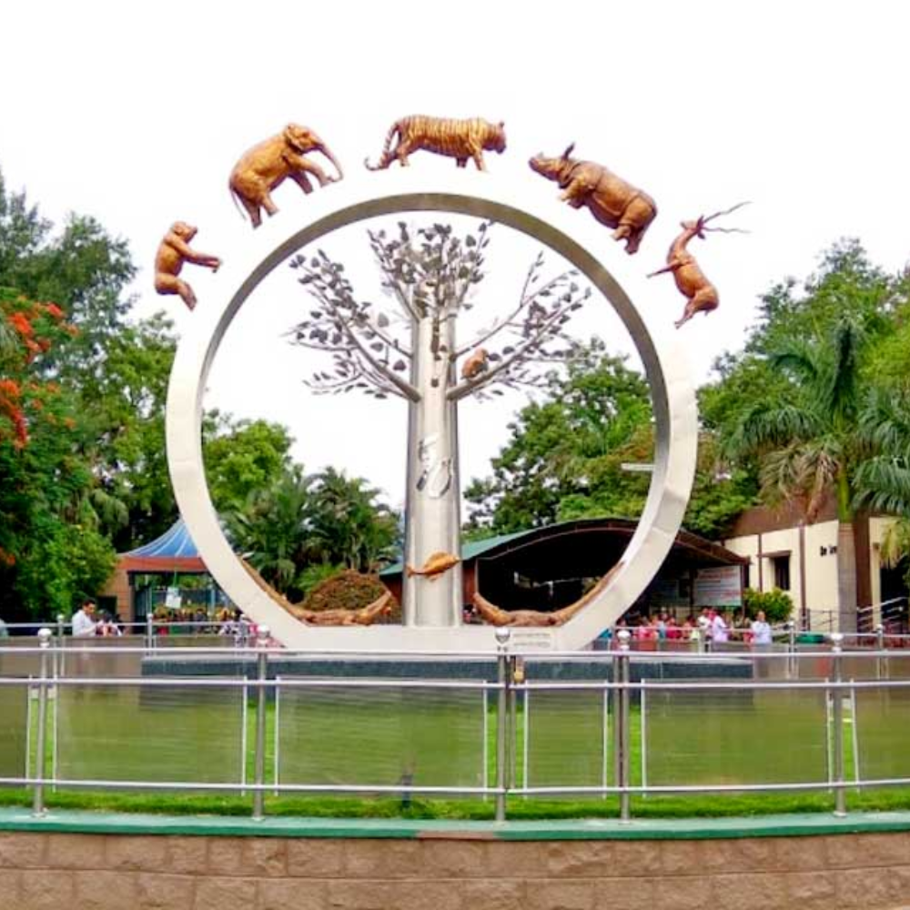 Best web designers in Hyderabad near Nehru Zoological Park, Rajendranagar — Moosi Web Hyderabad