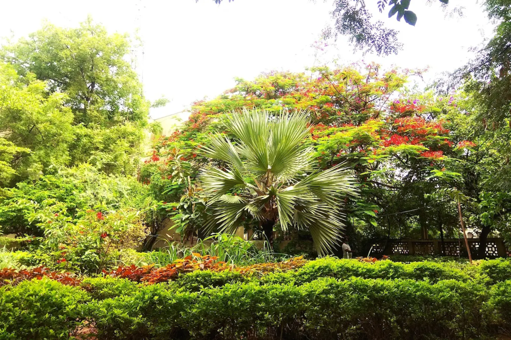 Tarnaka Park, Tarnaka — landmark buyer guide featured image
