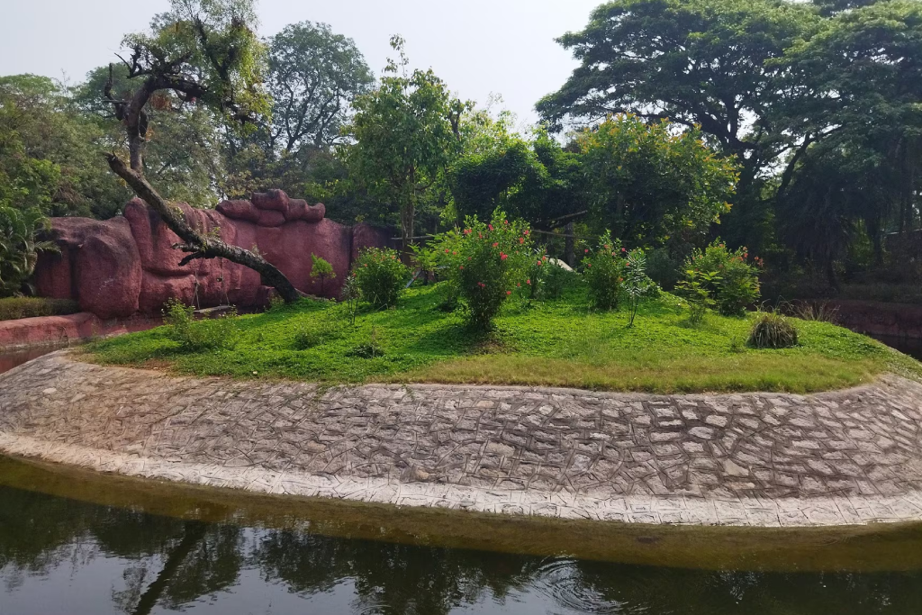 Best website designers in Hyderabad near Kompally Park — Moosi Web Hyderabad