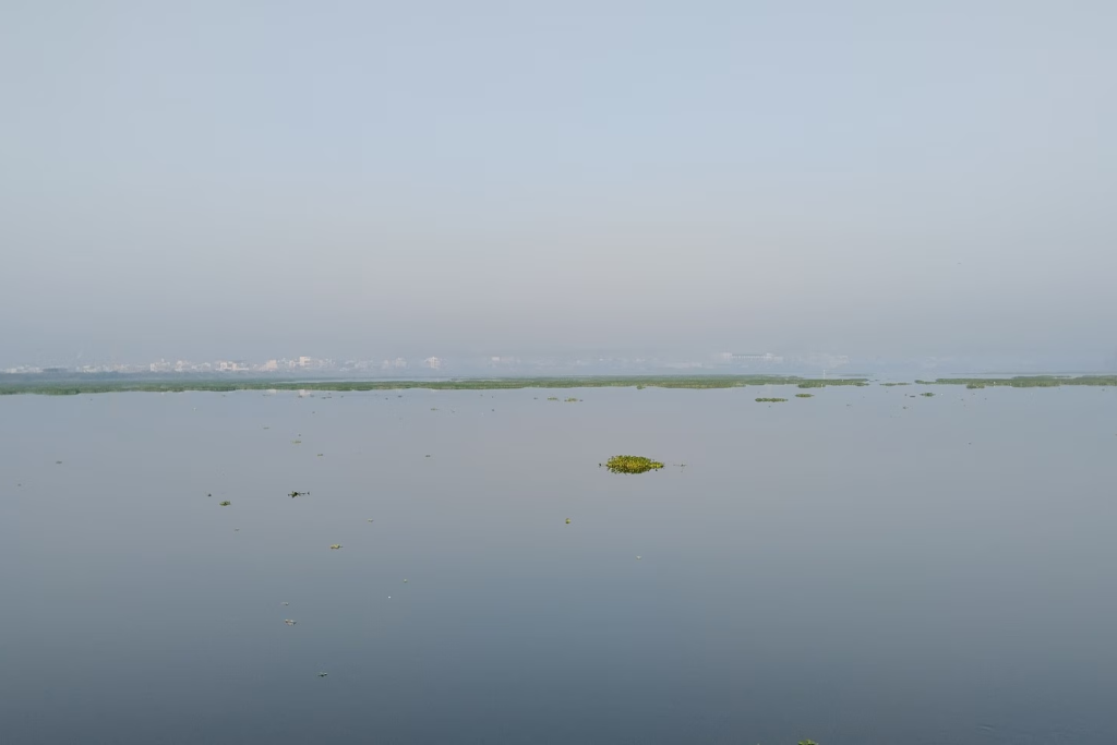 Professional SEO services for businesses in Hyderabad near Suchitra Lake — Moosi Web Hyderabad
