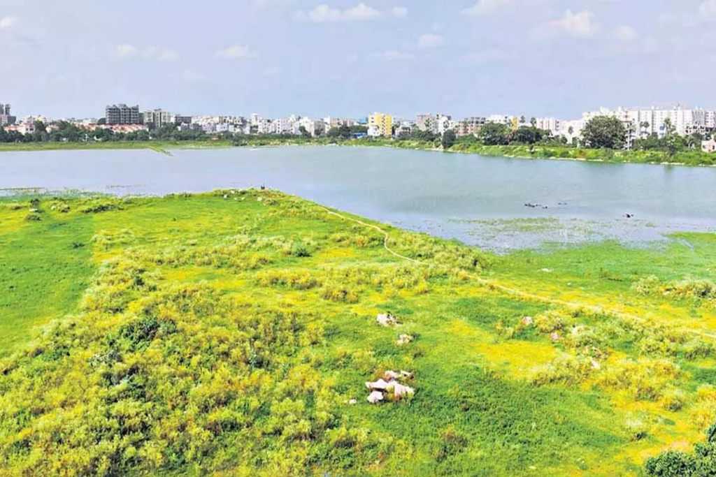 Web developers in Hyderabad near Sainikpuri Lake — Moosi Web Hyderabad