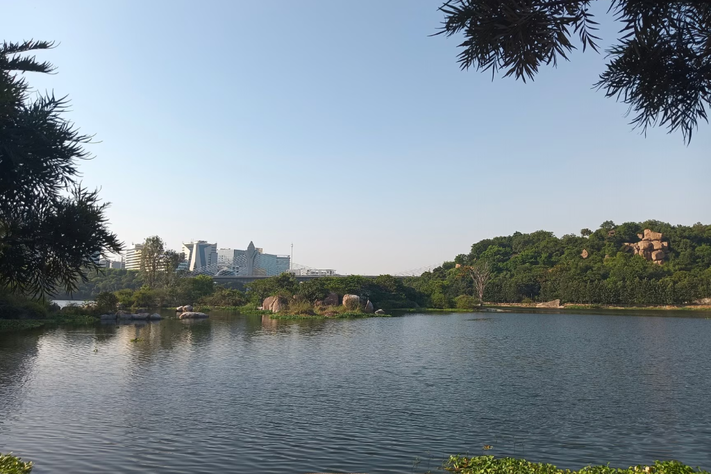 Low-cost web design in Hyderabad near Madhapur Lake — Moosi Web Hyderabad